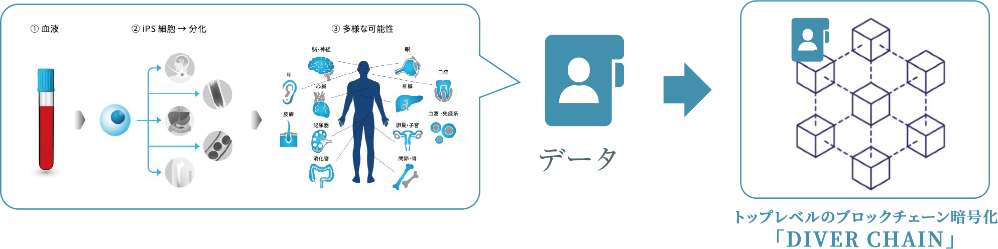 iPSバンクNFTイメージ