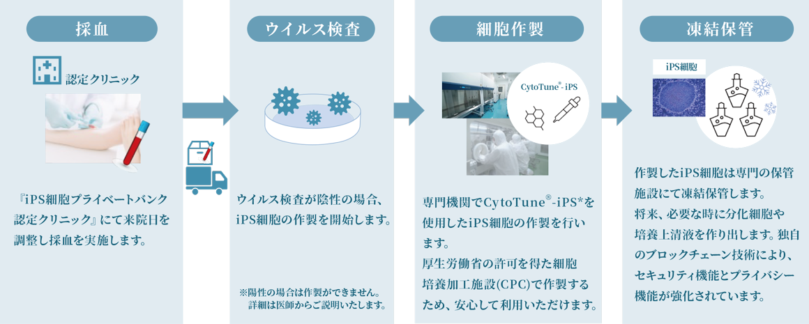 1.認定クリニックにて採血 2.ウイルス検査 3.iPS細胞作製 4.凍結保管